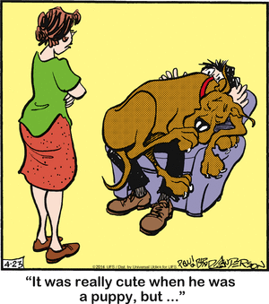 marmaduke